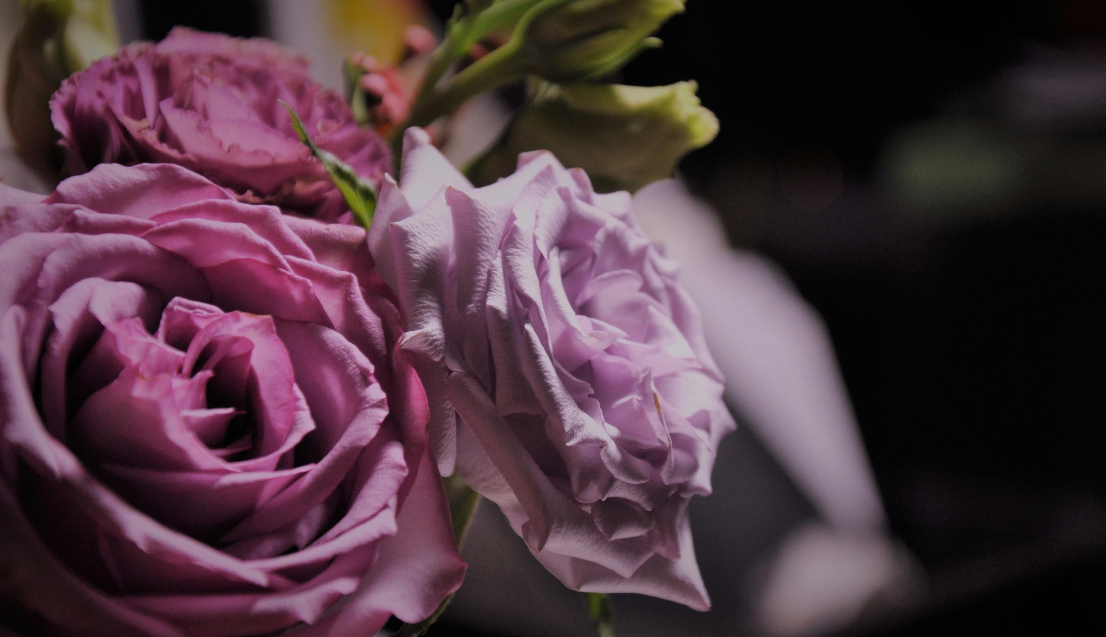 Green Pacific Development